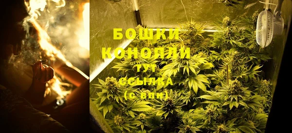 гидра Каменск-Шахтинский