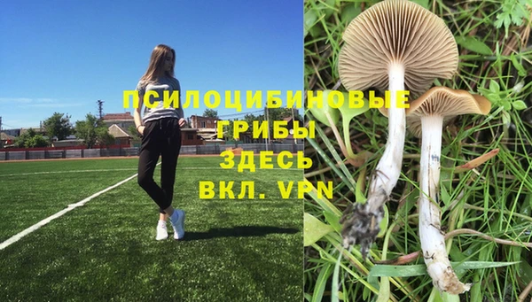 ешки Касимов